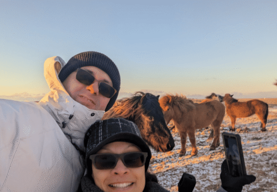 Icelandic Horses along the Ring Road