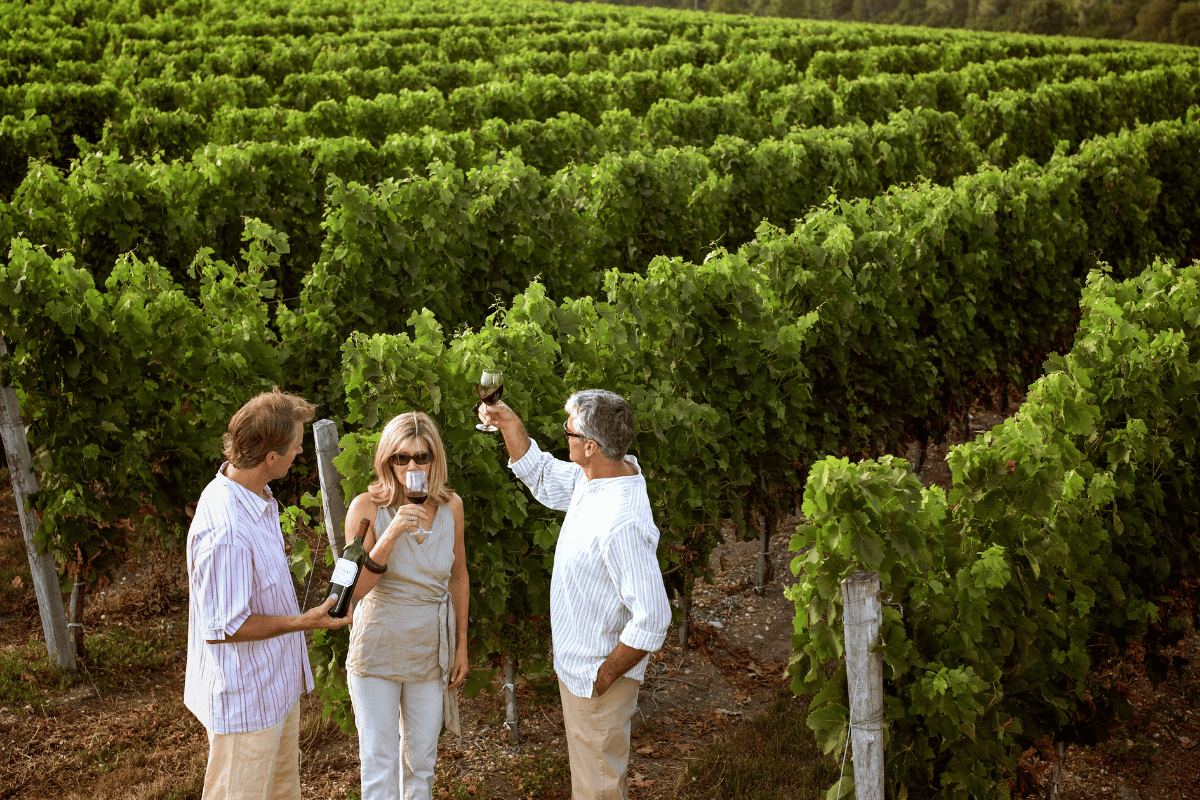 River cruise travelers enjoying a wine tasting at Chateau de la Riviere