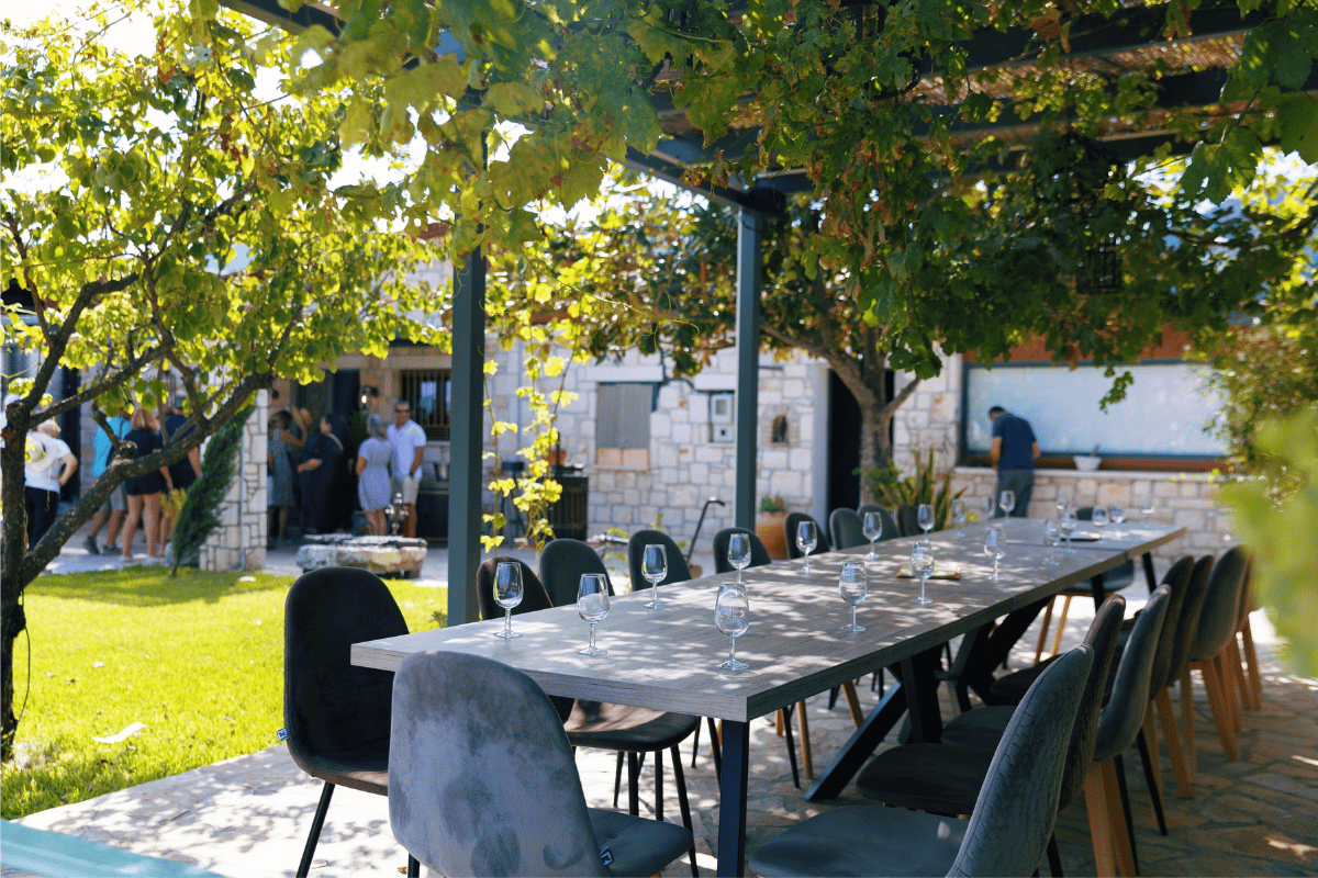 Travelers enjoying a local olive and wine experience in Zakynthos, Greece